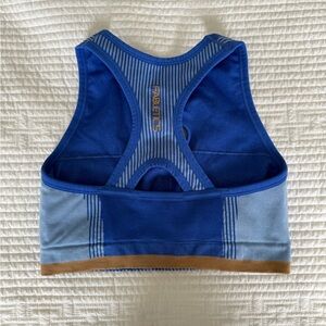 Fabletics Sprts Bra NWOT